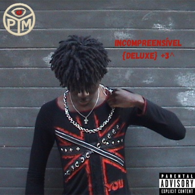 INCOMPREENSÍVEL (DELUXE) - Single