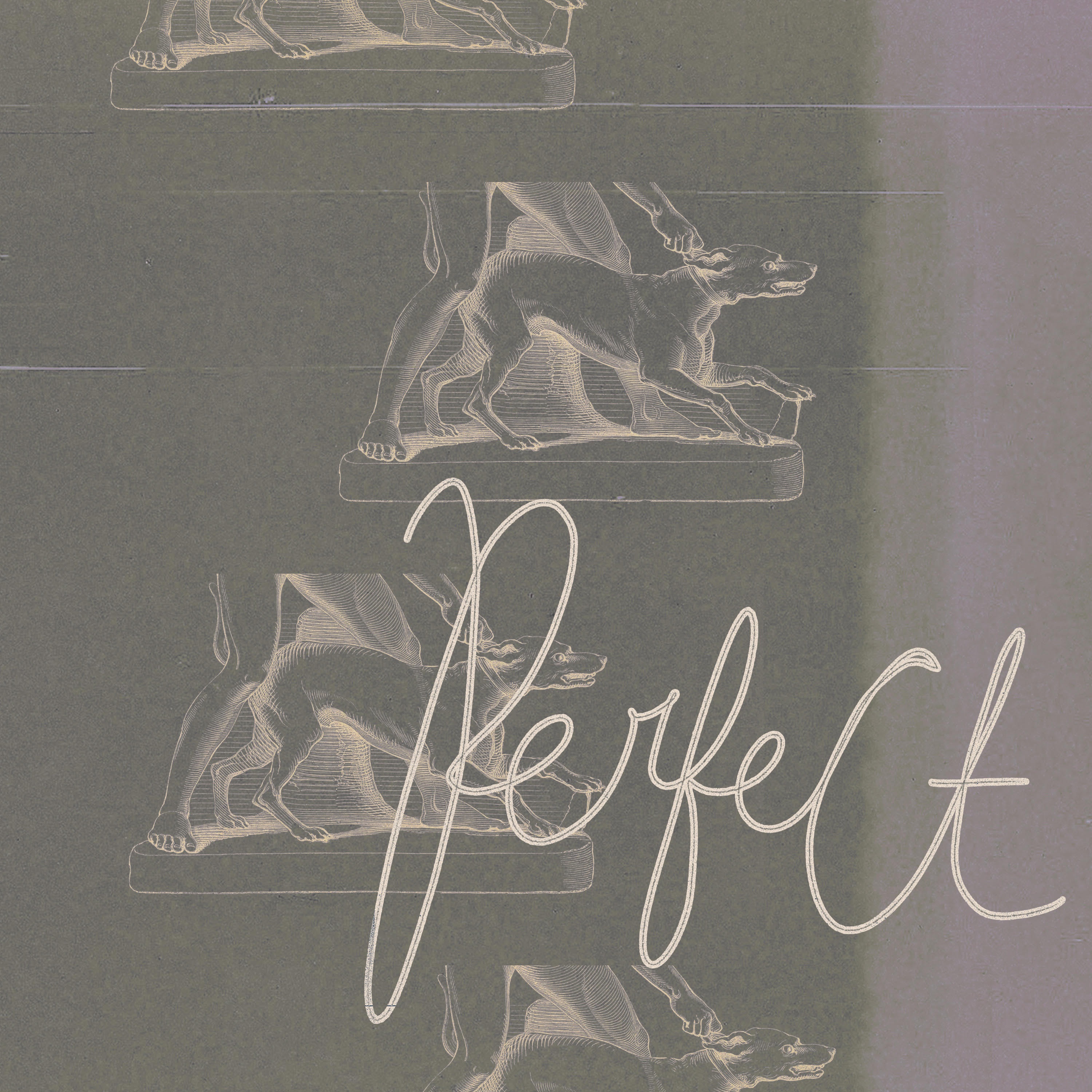 Immaterialize - Evolution (Fire Talk - 2025)