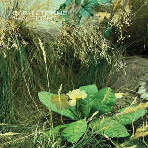 Half Light - Single