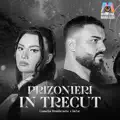 Prizonieri in trecut