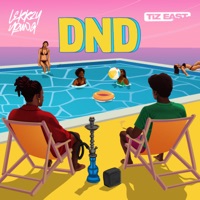 DND (feat. TiZ EAST) - Single - Lekkzy Young