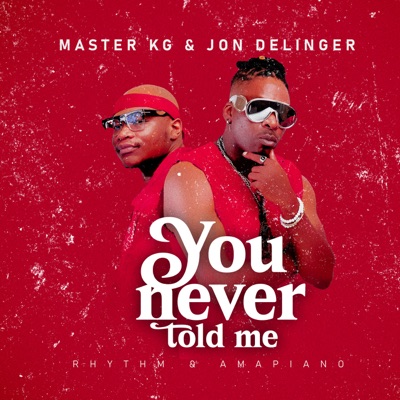 You Never Told Me (feat. Miss Twaggy) - Single