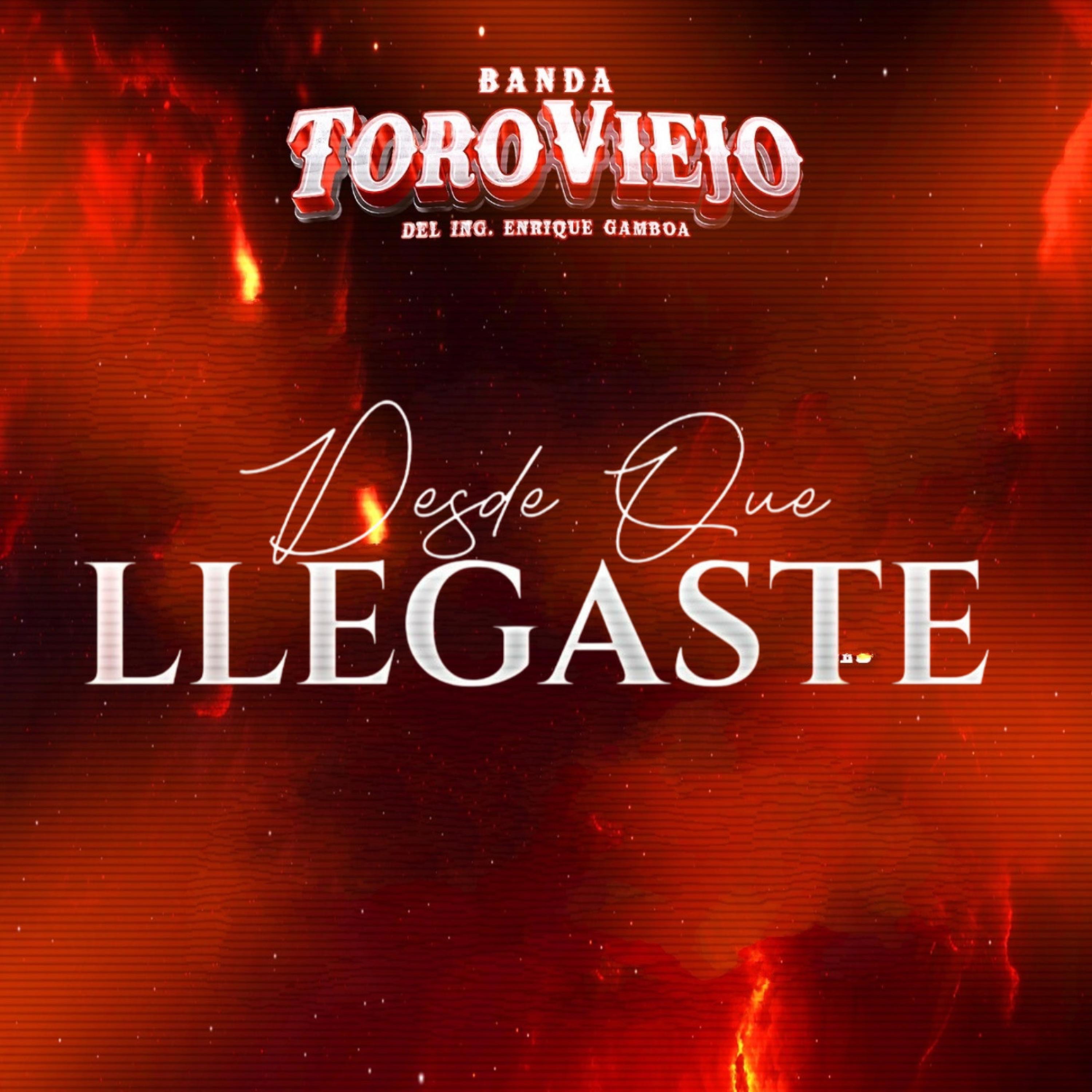 Desde Que Llegaste - Single