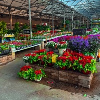 ... y tú no estás (+) - Single - The BadplayerXs