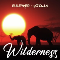 Wilderness - Single - Suleymer & DJ Goja