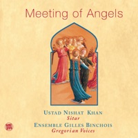 Meeting of Angels - Ustad Nishat Khan & Ensemble Gilles Binchois, Ensemble Gilles Binchois & Dominic Vellard