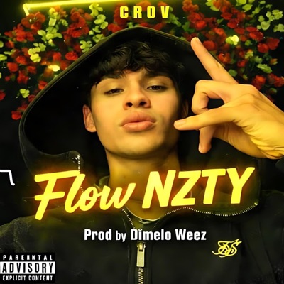 Flow NZTY (feat. Crov) - Single