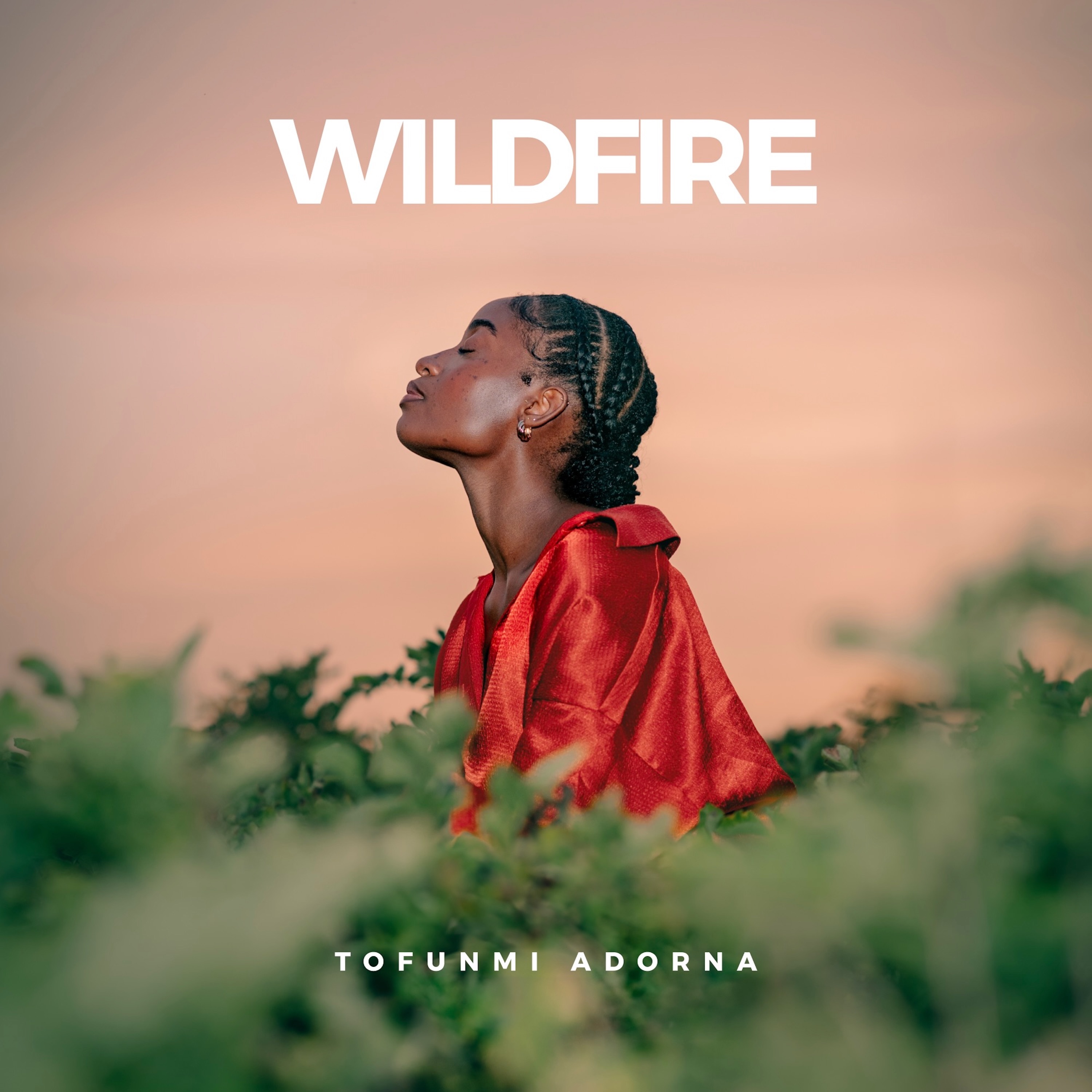 Wildfire - Single