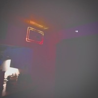 holo - Single - _Houseplants