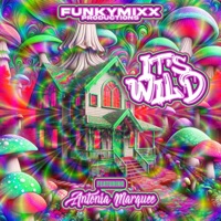 It's Wild (feat. Antonia Marquee) - Single - FunkyMixx Productions