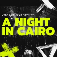 A Night in Cairo - Single - Viddsan & Beat Stylist