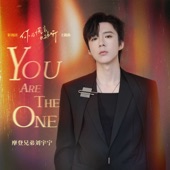 You Are the One(《你的謊言也動聽》影視劇主題曲) artwork