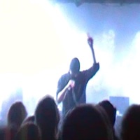 Hall of Shame - Single - koira