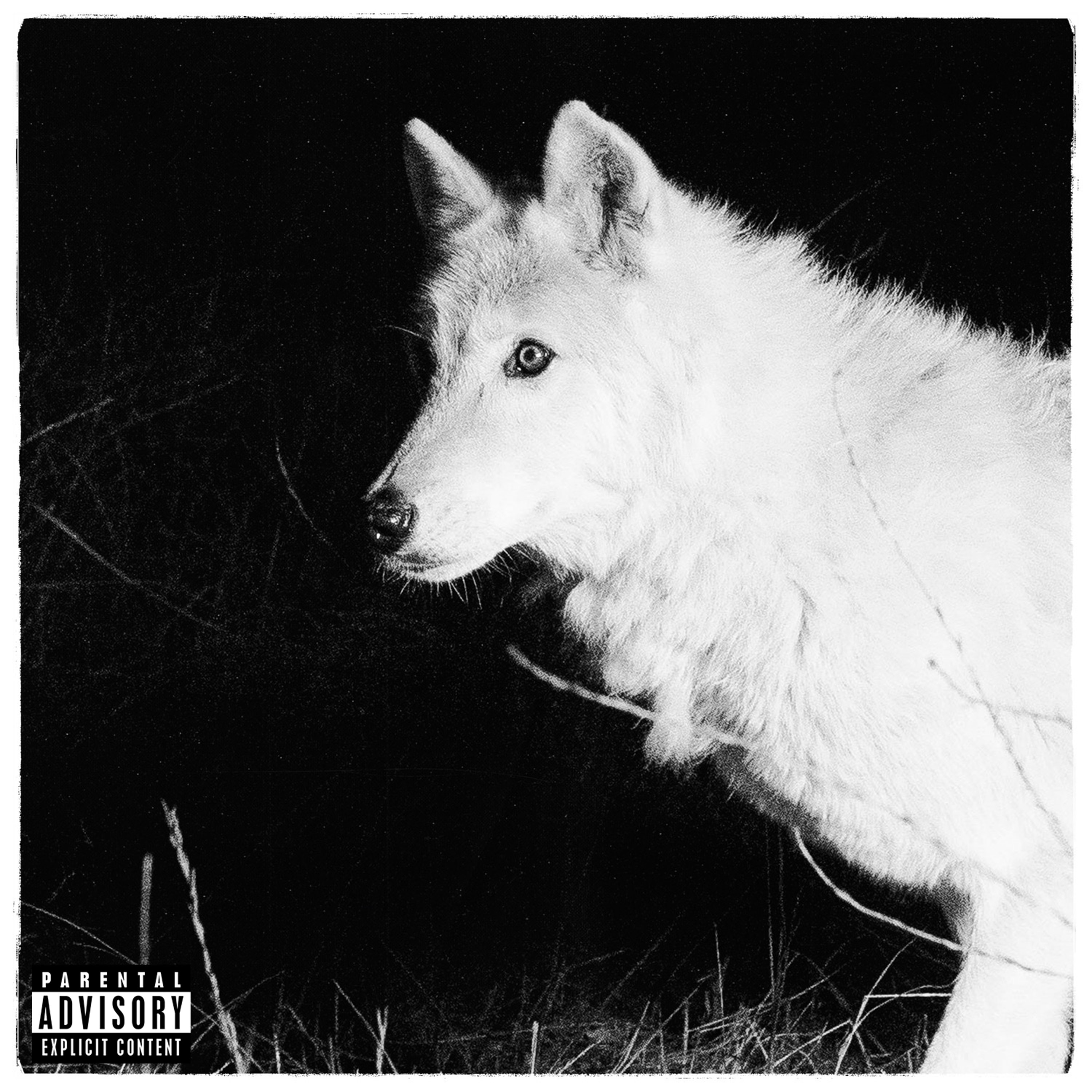 Lonewolf Still - Single