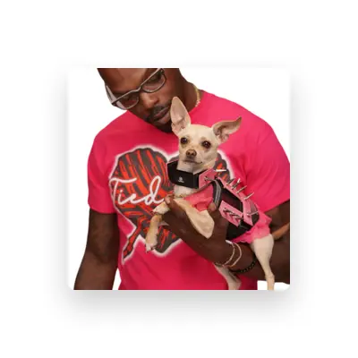 Listen to Tied In, watch music videos, read bio, see tour dates & more!