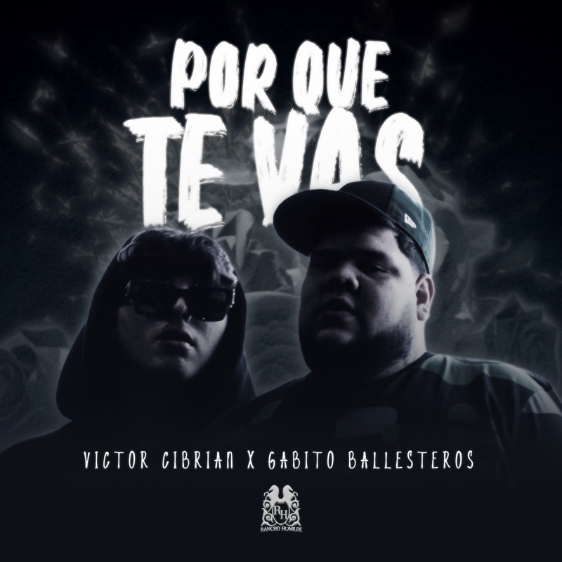 Meaning of Porque Te Vas by Victor Cibrian & Gabito Ballesteros