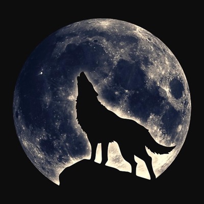 Attal Media - موسيقى حماسية وادي الذئاب (ترند)