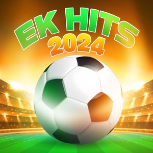 Koning Voetbal dit EK