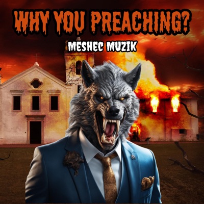 Why you preaching? (feat. Faith N Israel) - Single