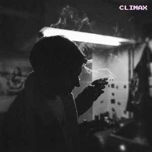 CLIMAX (2015)