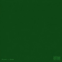 Linkin Green (feat. DJ Kobe) - Single - Nirvana Nash