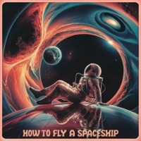How to Fly a Spaceship - Danny Bandana