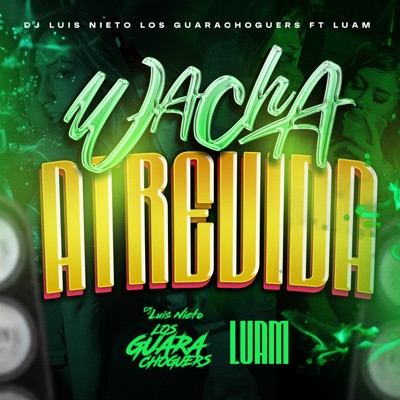 Guacha Atrevida (feat. Dj Luis Nieto & Luam) - Single
