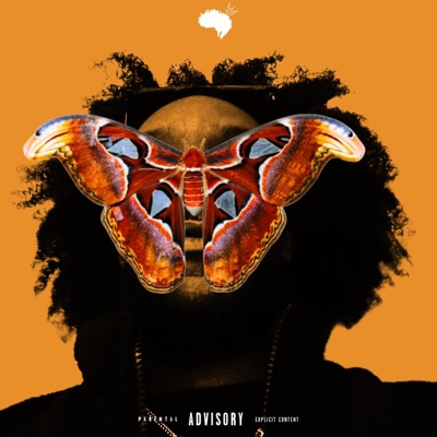 Fly - Single