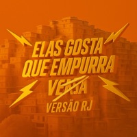 ELAS GOSTA QUE EMPURRA X VERSÃO DE CRIA - Single - DJ VT DA RUA LARGA