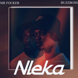 NLEKA (feat. Buzzboss) Dinoo Pee
