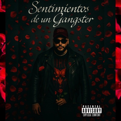 Sentimientos de un Gangster