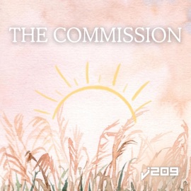 The Commission J209