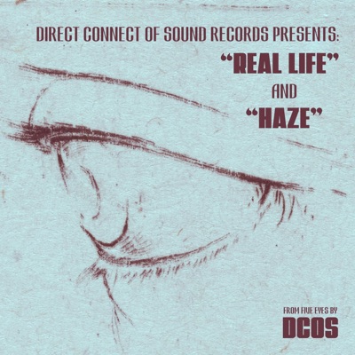 Real Life/Haze - Single