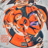 BIG DOG - Single - YD333