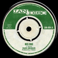 Bed Bug - Single - The Black Emeralds