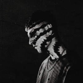 Я люблю тебя OUSHIN