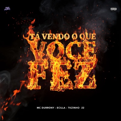 Ta Vendo o Que Você Fez - Single