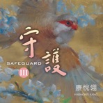 Safeguard3