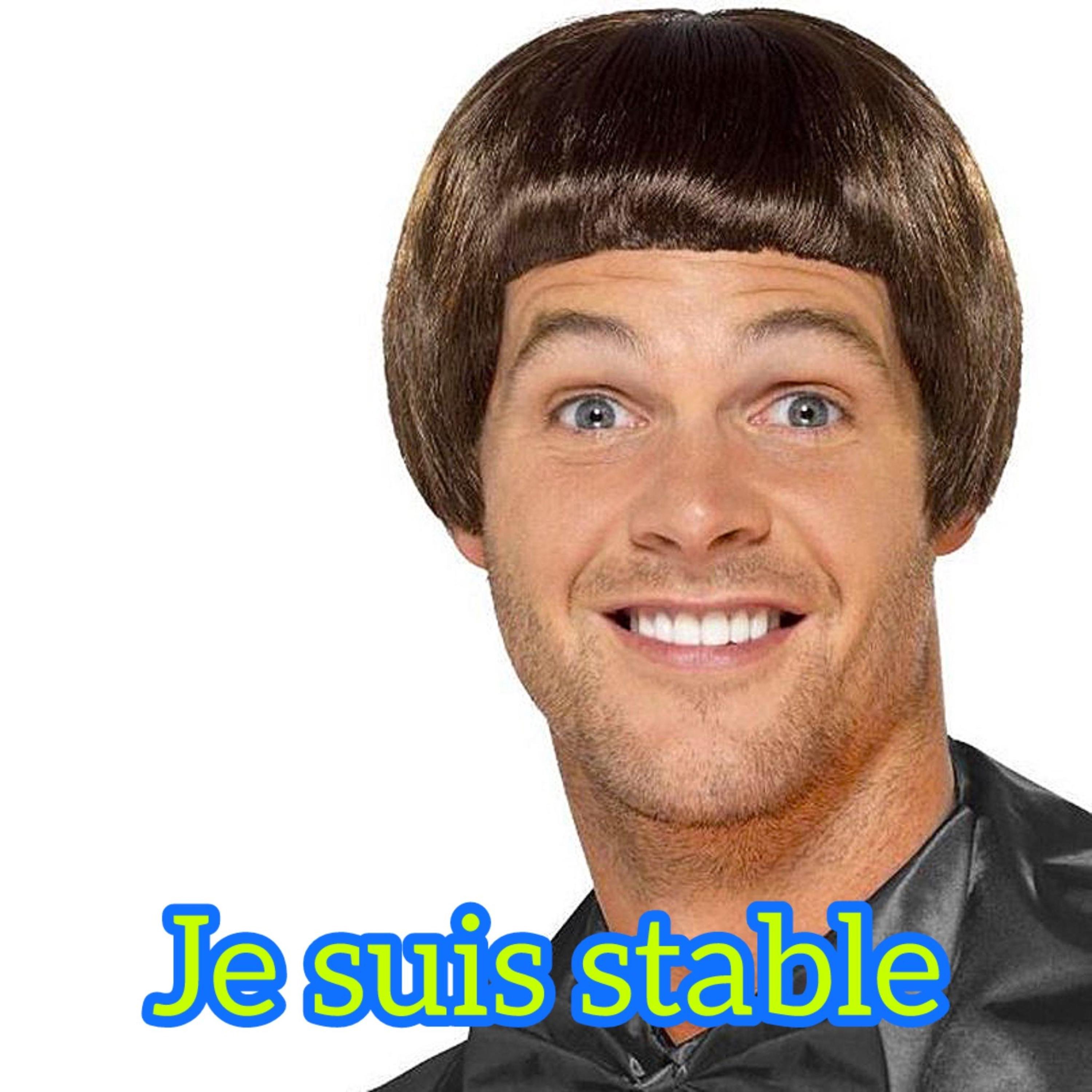 Je suis stable - Single