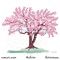 Spring Blossom - Kichiro, nomar.wav & terrarium. lyrics
