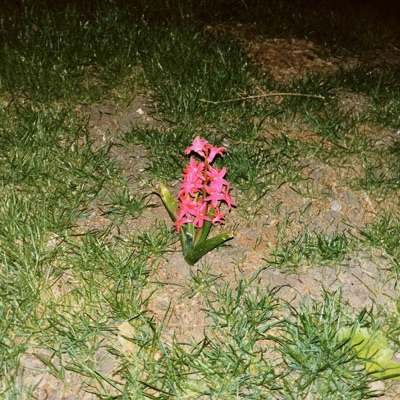IN MY ROOM - Single