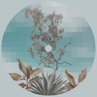 Tula - Single - Yams