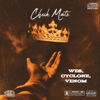 Check mate - Single - 210Psychoholik