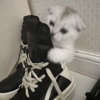 please u - Single - kalia!