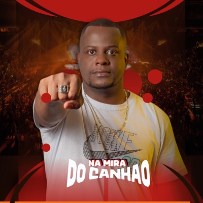 Na Mira do Canhão (feat. Aliados Do Funk) - Single
