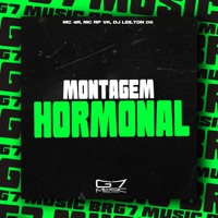 Montagem Hormonal - Single - Mc 4R, Mc RP VK & DJ LEILTON 011