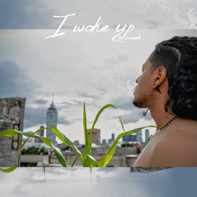 I Wake Up - Single