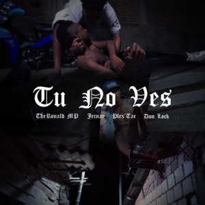 Tu No Ves (feat. TheRonald MP)