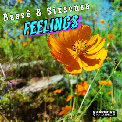 Feelings (feat. BASS6)