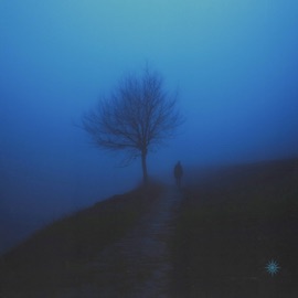 A lot has changed Fall.